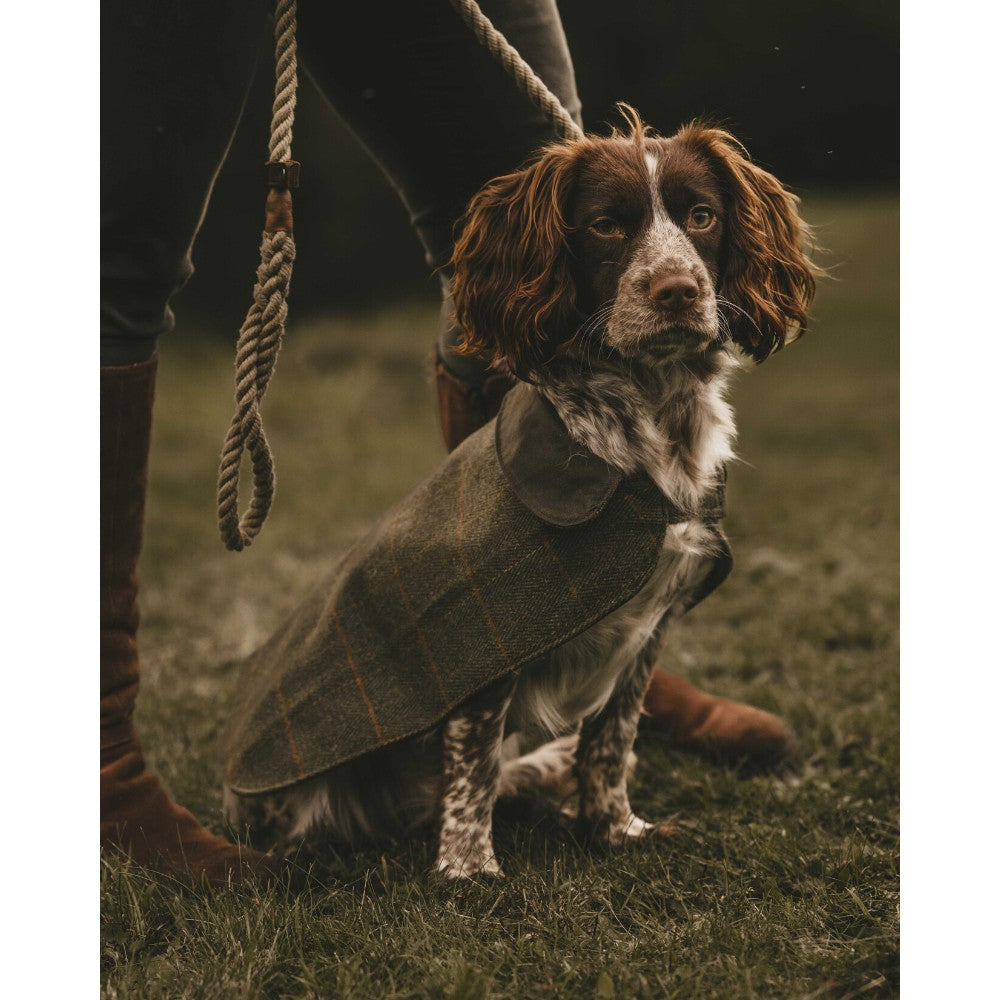 Tweed Dog Coats